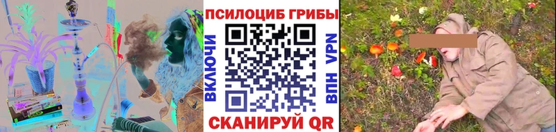 Псилоцибиновые грибы мицелий Сельцо