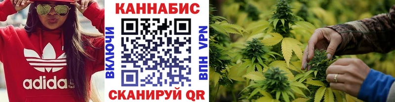 Шишки марихуана планчик  цена наркотик  Сельцо 